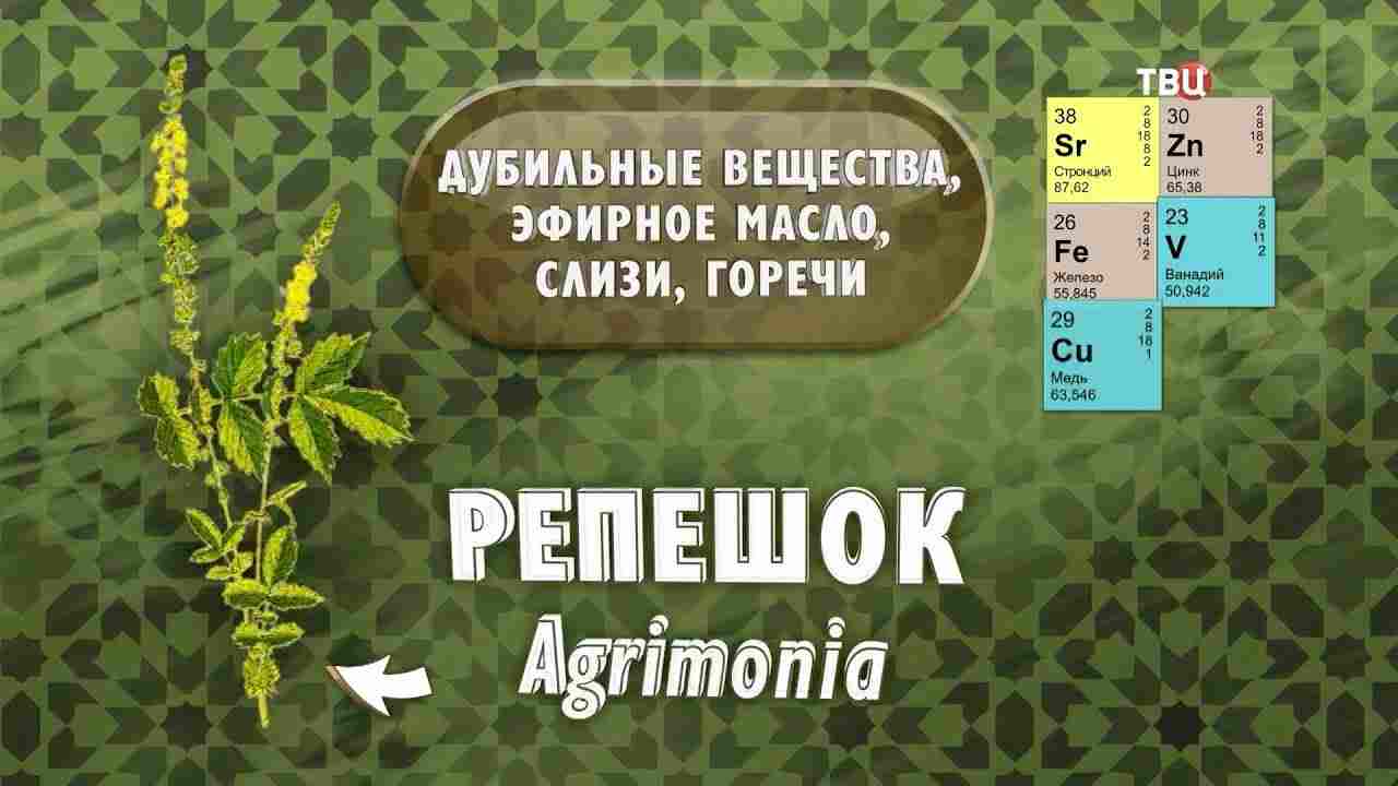 репешок инструкция по применению цена отзывы аналоги