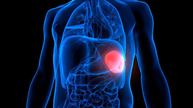 селезенка где находится и как болит