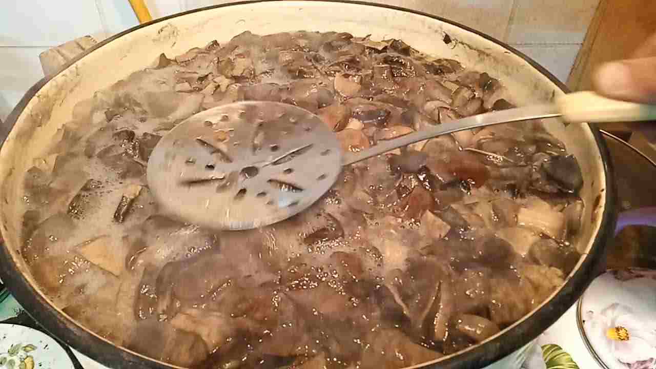 сколько варить грибы в кастрюле