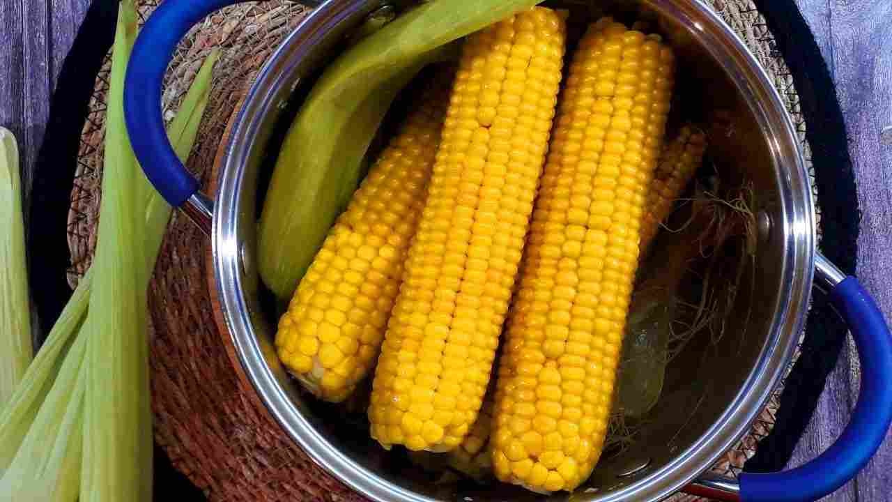 сколько варить целую курицу в кастрюле