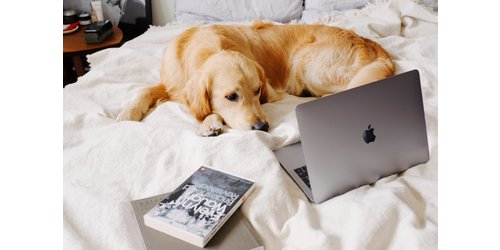 сколько нужно спать чтобы выспаться