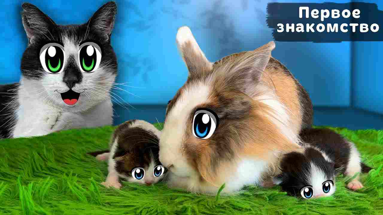 смотреть а ну ка давай ка