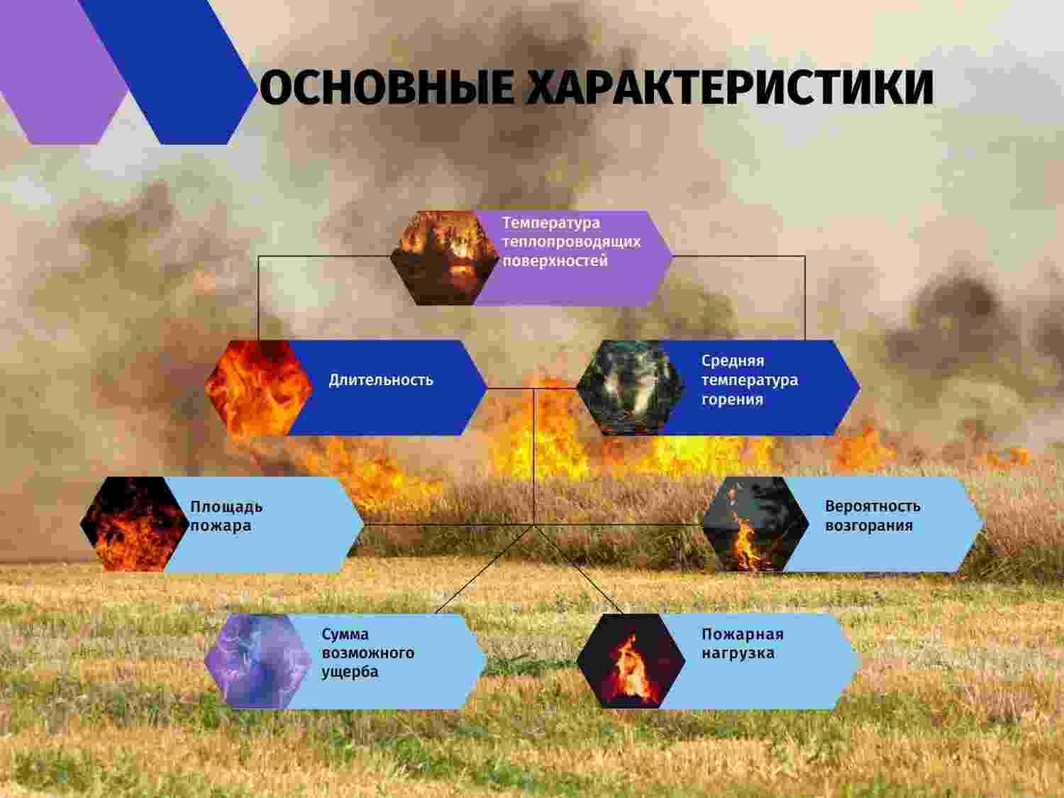 сопутствующие проявления опасных факторов пожара