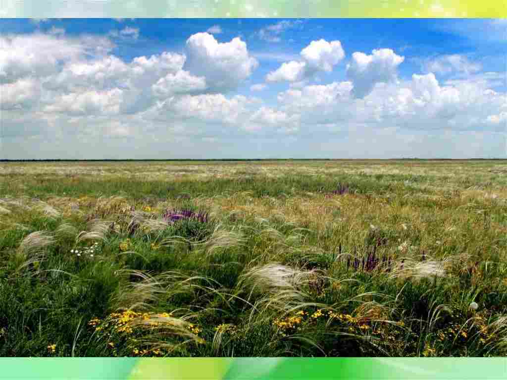 степь чем далее тем становилась прекраснее