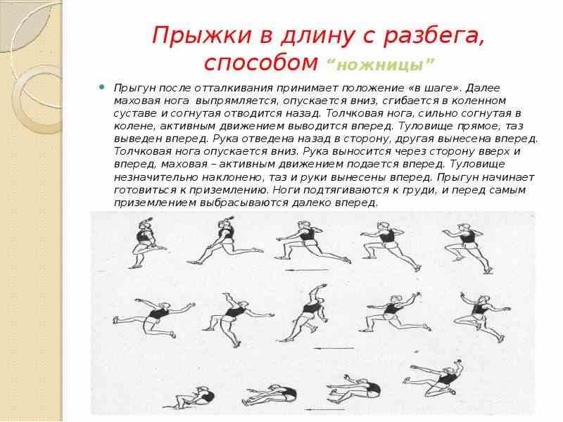 техника выполнения прыжка в длину с места