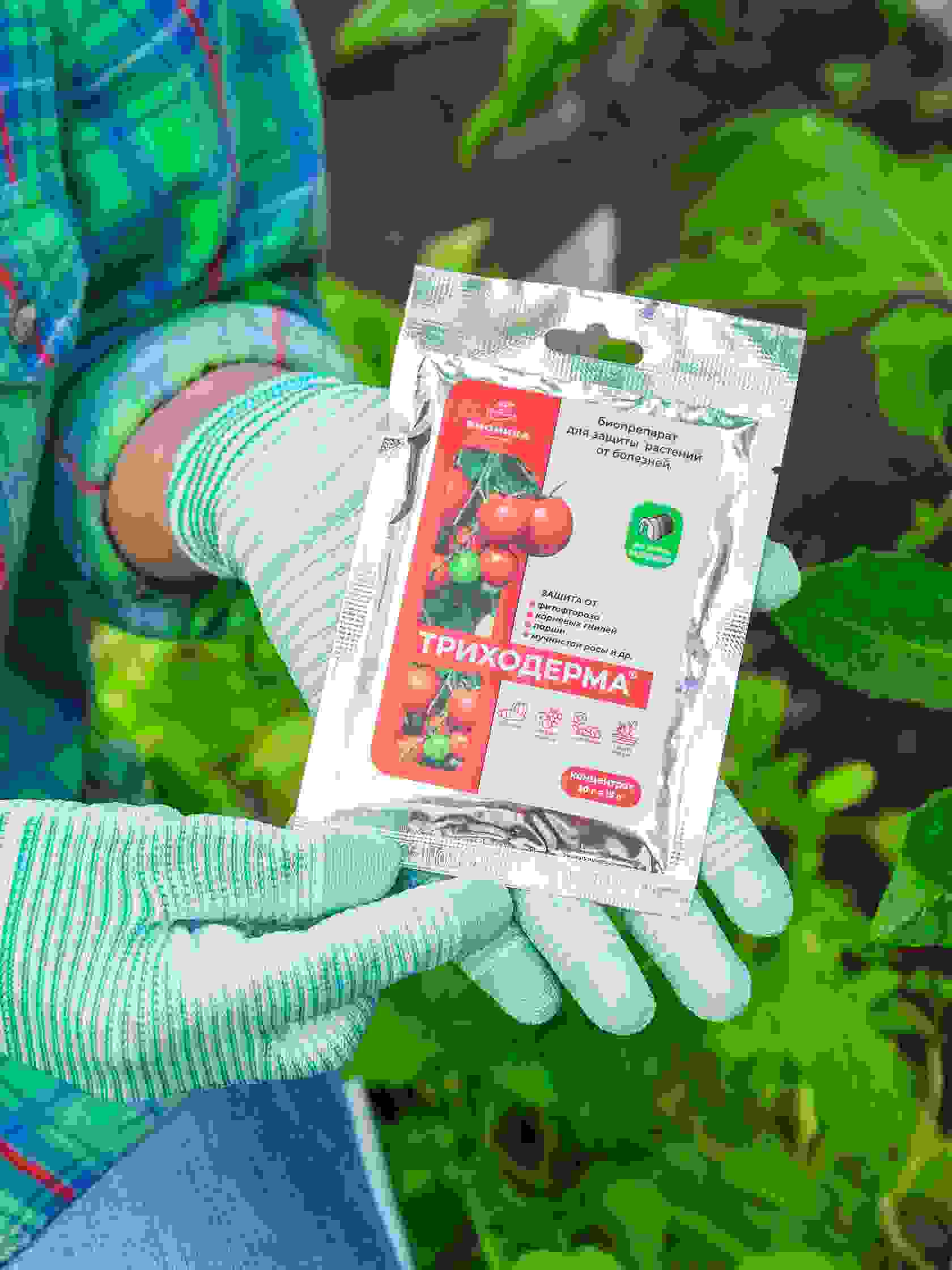 триходерма инструкция по применению цена отзывы аналоги