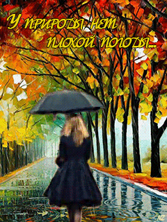 у природы нет плохой погоды картинки