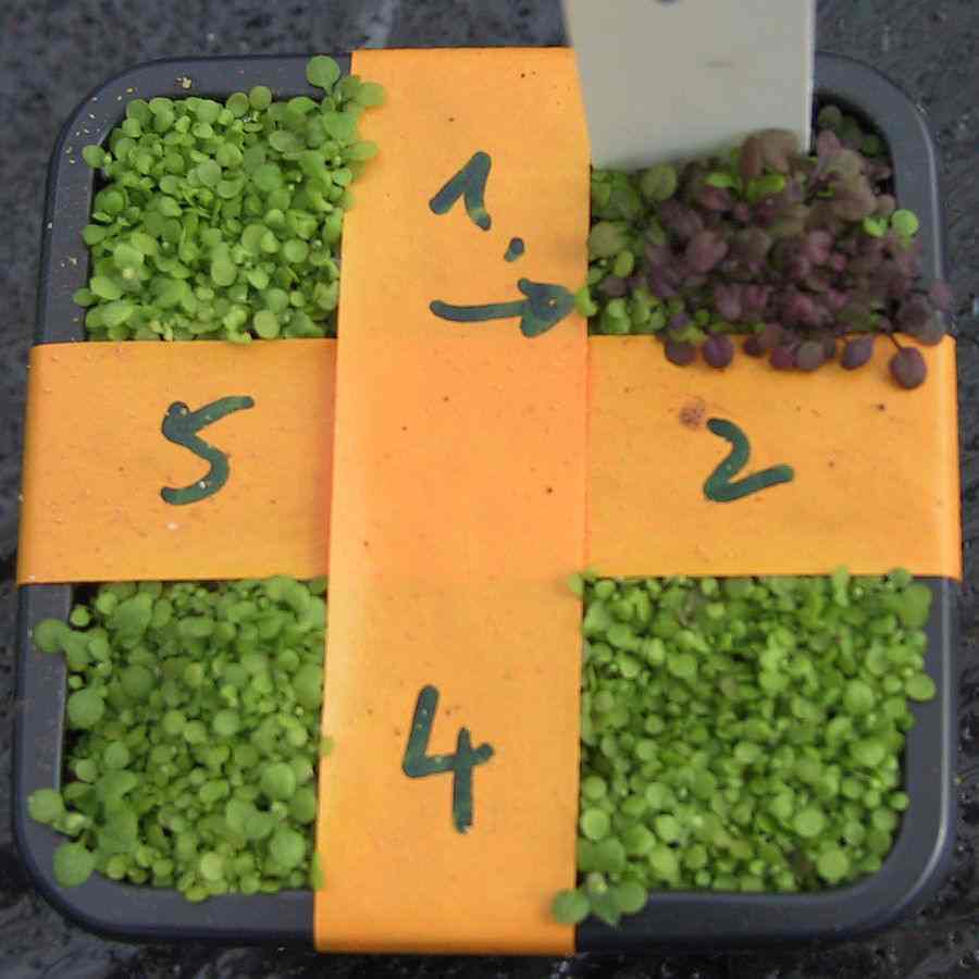 факторы которые нельзя преодолеть с помощью растений