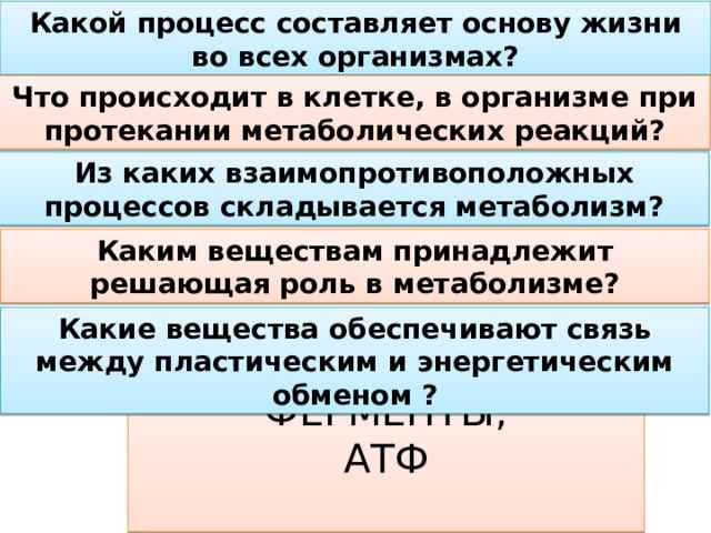 ферментативный характер реакций клеточного метаболизма