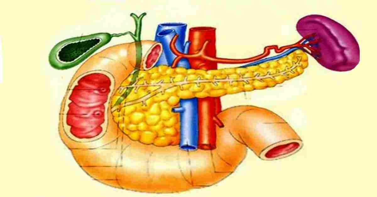 ферменты для поджелудочной железы препараты