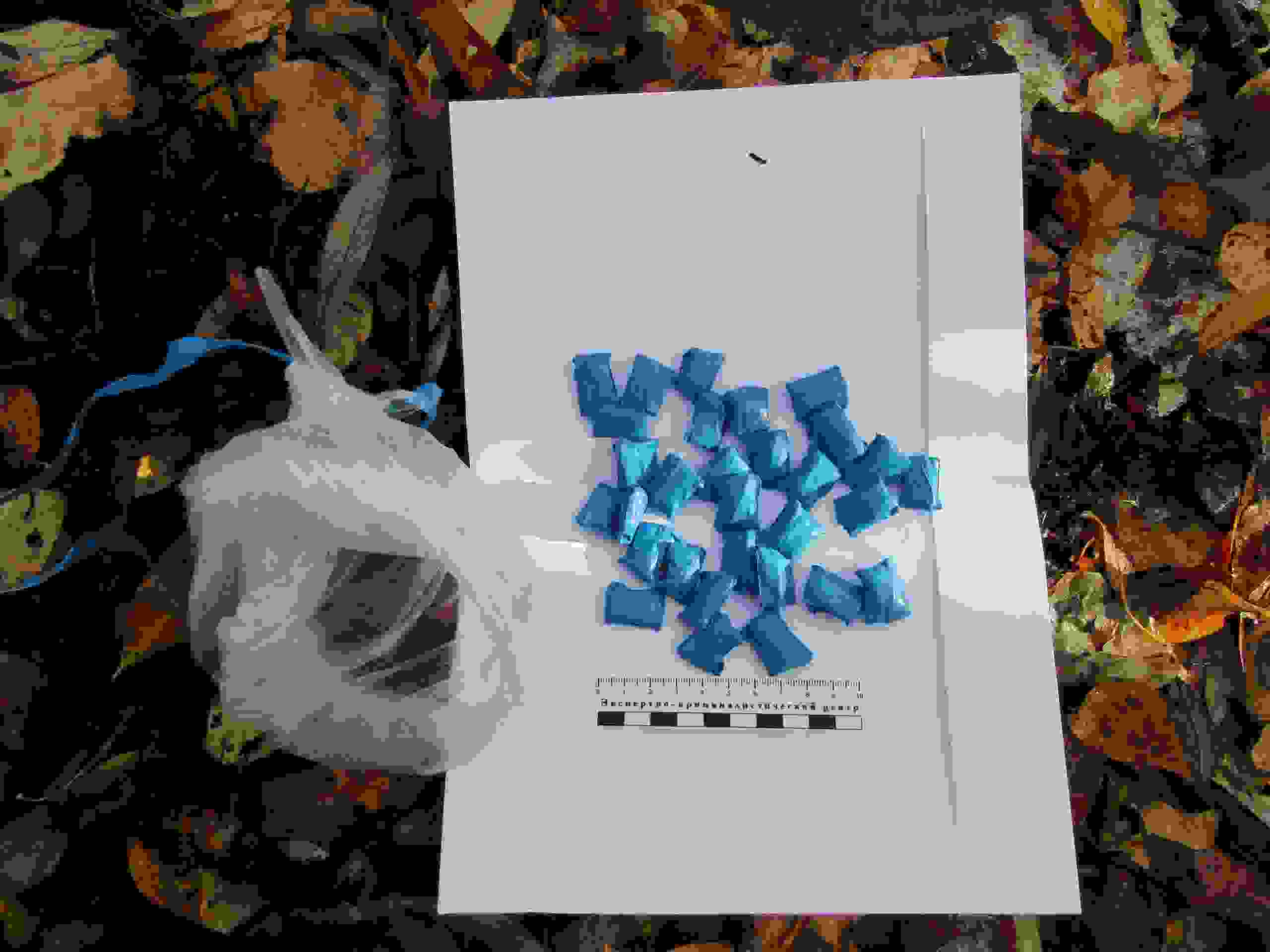 фз о наркотических средствах и психотропных веществах