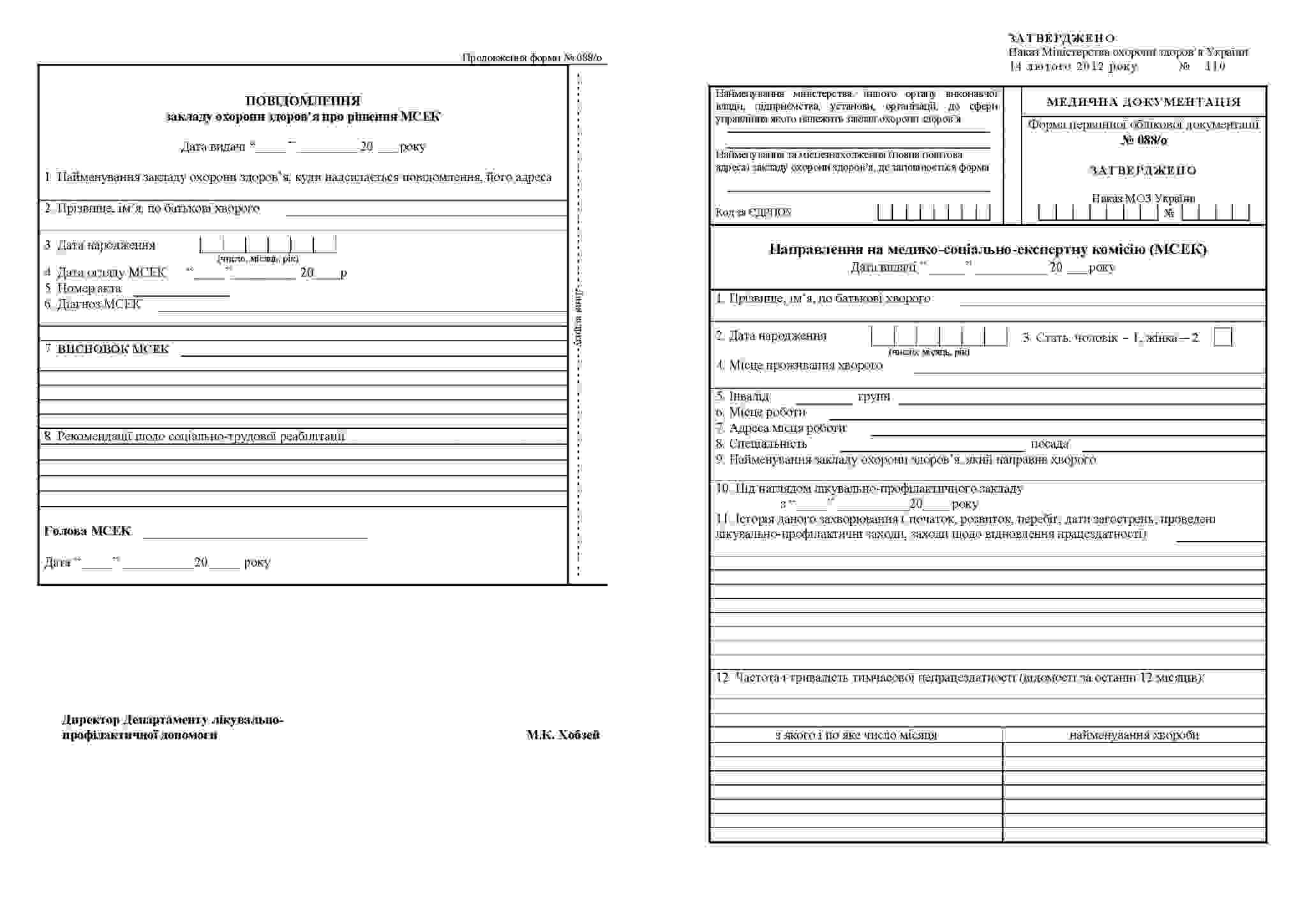форма организации труда для мсэ пример