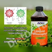 хлорофилл инструкция по применению цена отзывы