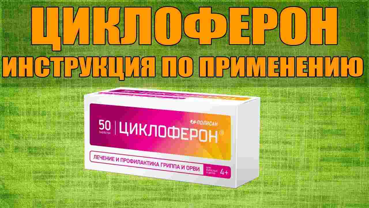 циклин таблетки инструкция по применению цена отзывы