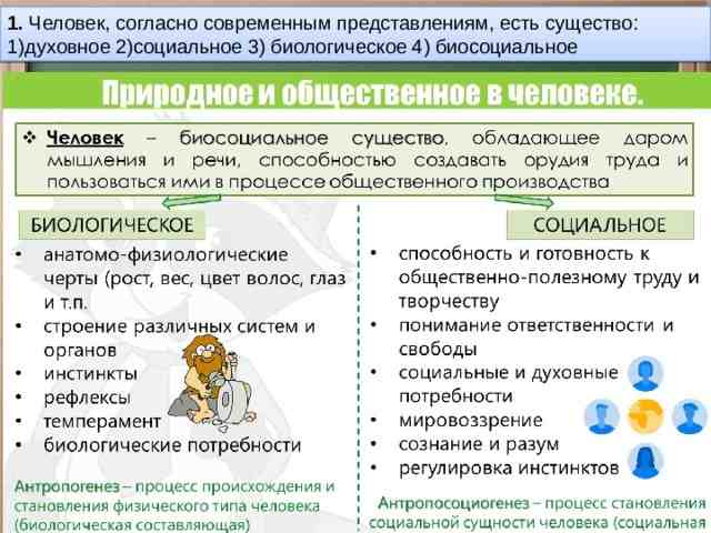 человек согласно современным представлениям есть существо