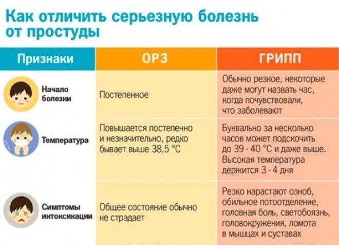 чем отличается грипп от орви