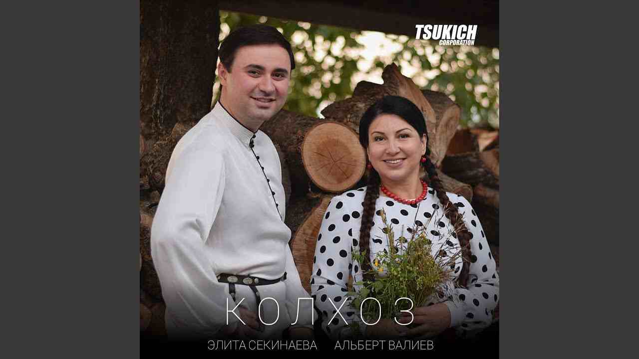 чем отличается совхоз от колхоза