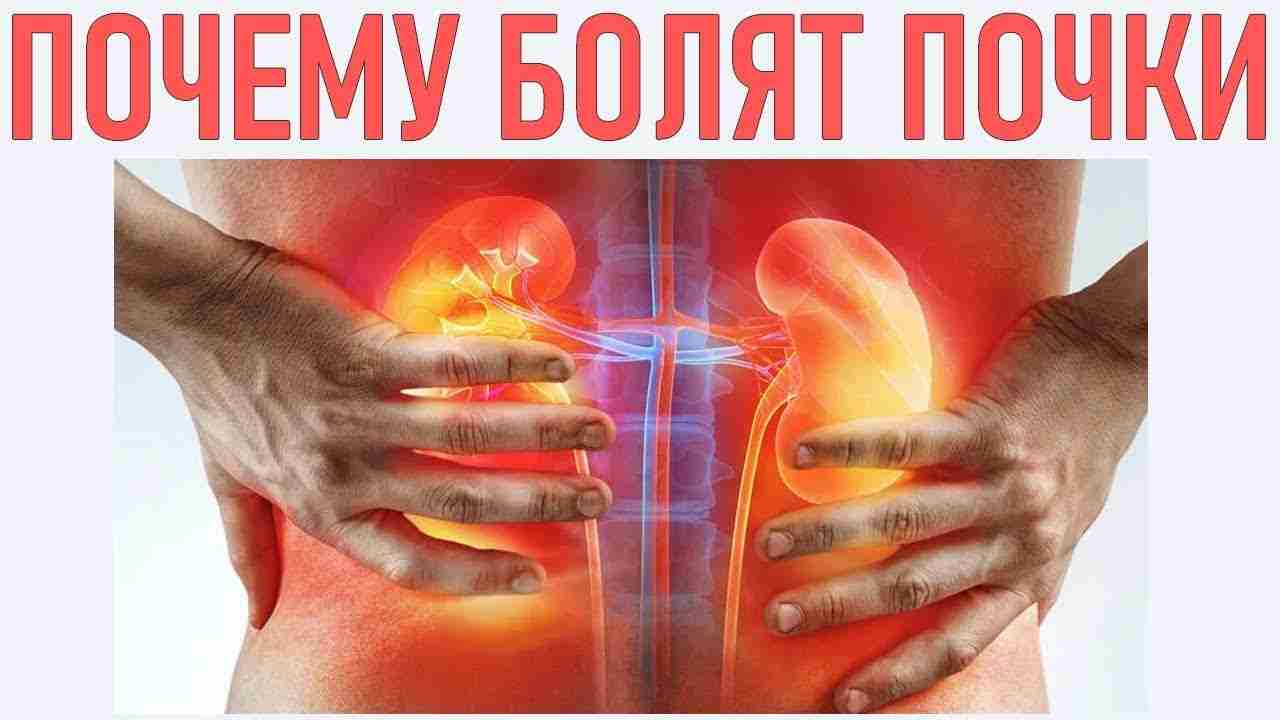 что делать если болят почки