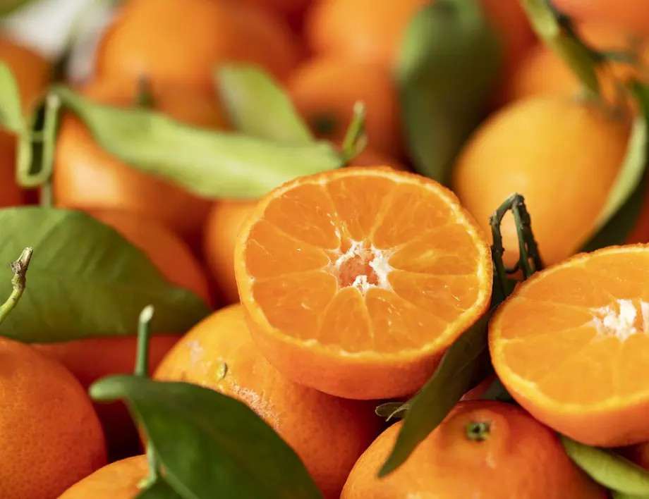 что же это такое настоящая ядь