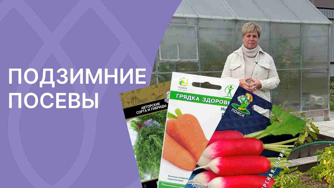 что можно посеять под зиму