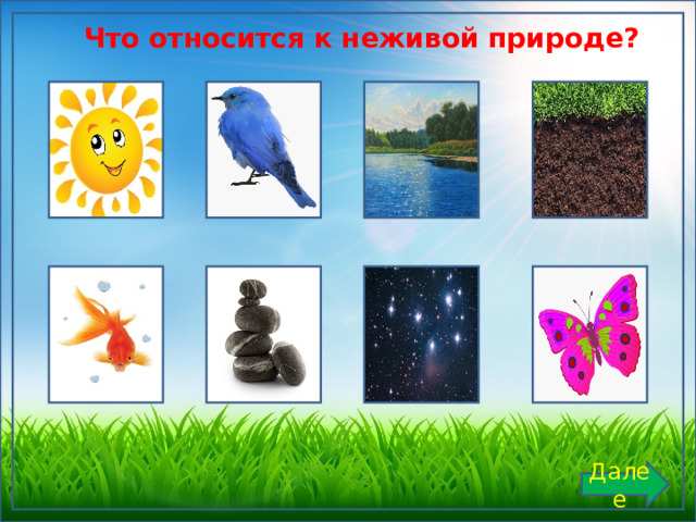 что относится к неживой природе