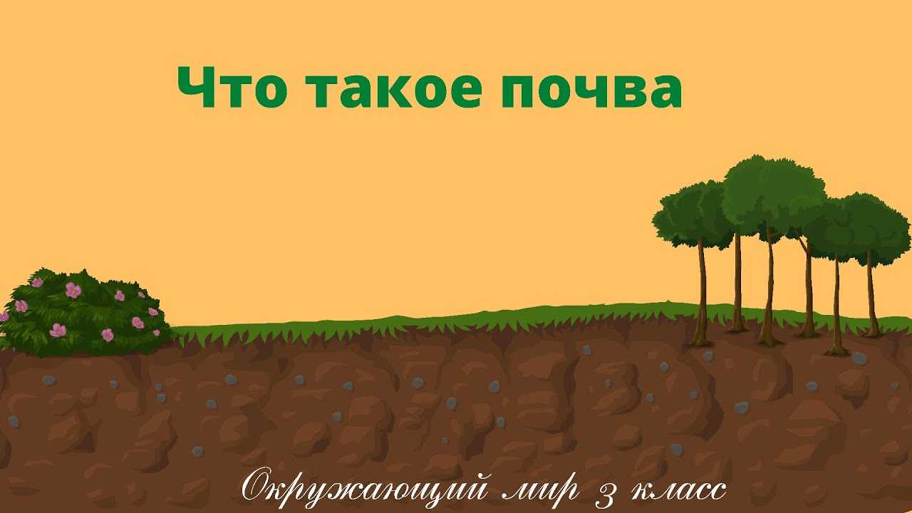 что такое почва 3 класс