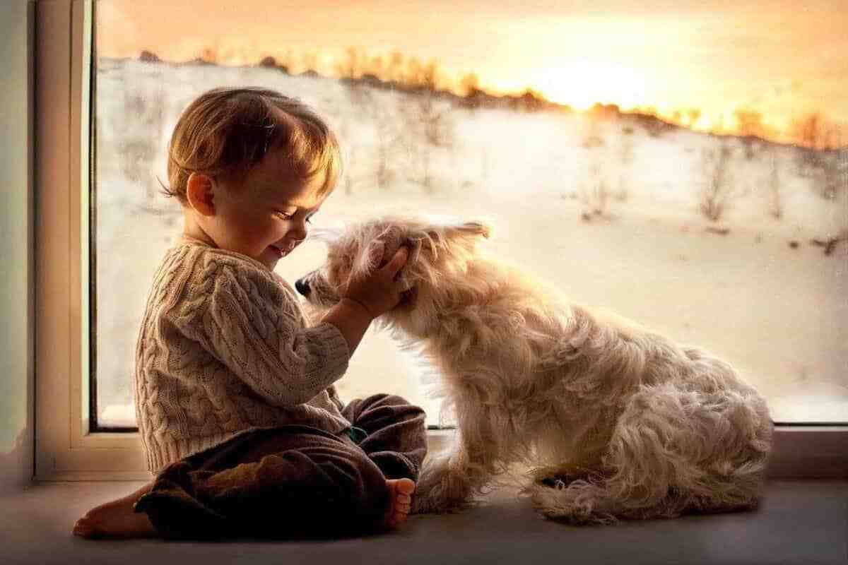 чтобы оценить доброту и понять ее значение