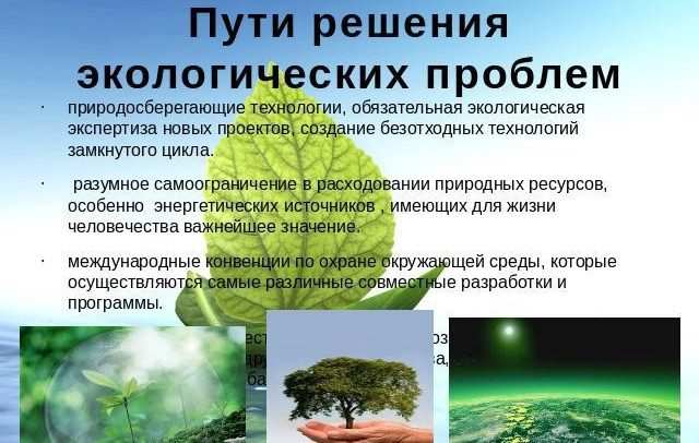 экологические проблемы и их решения