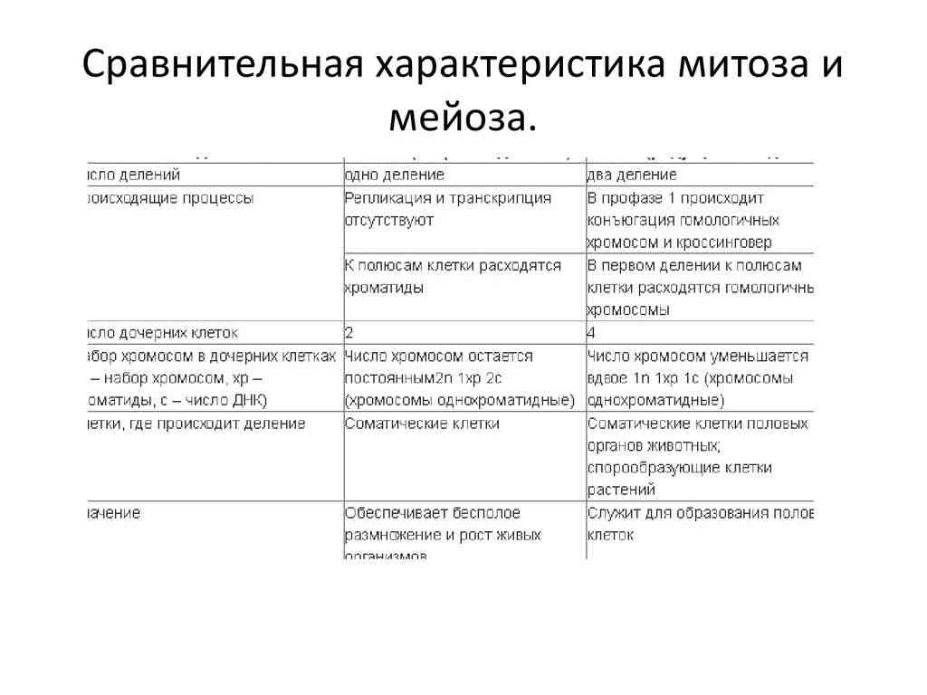 биологическое значение митоза и мейоза