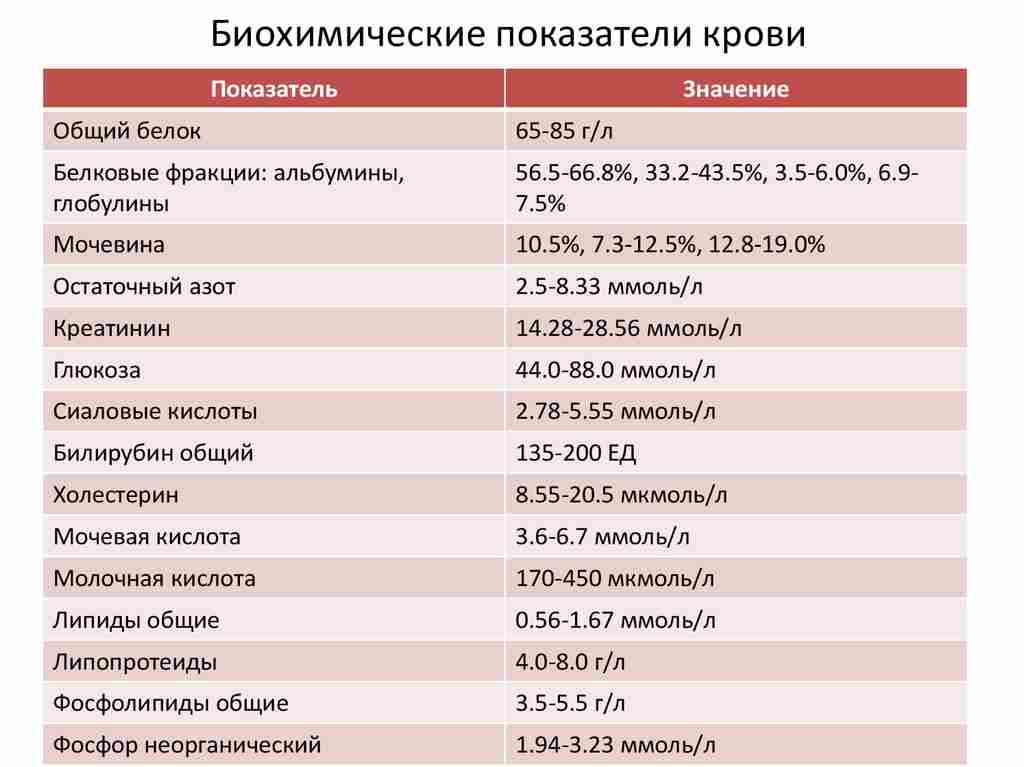 биохимический анализ крови что входит