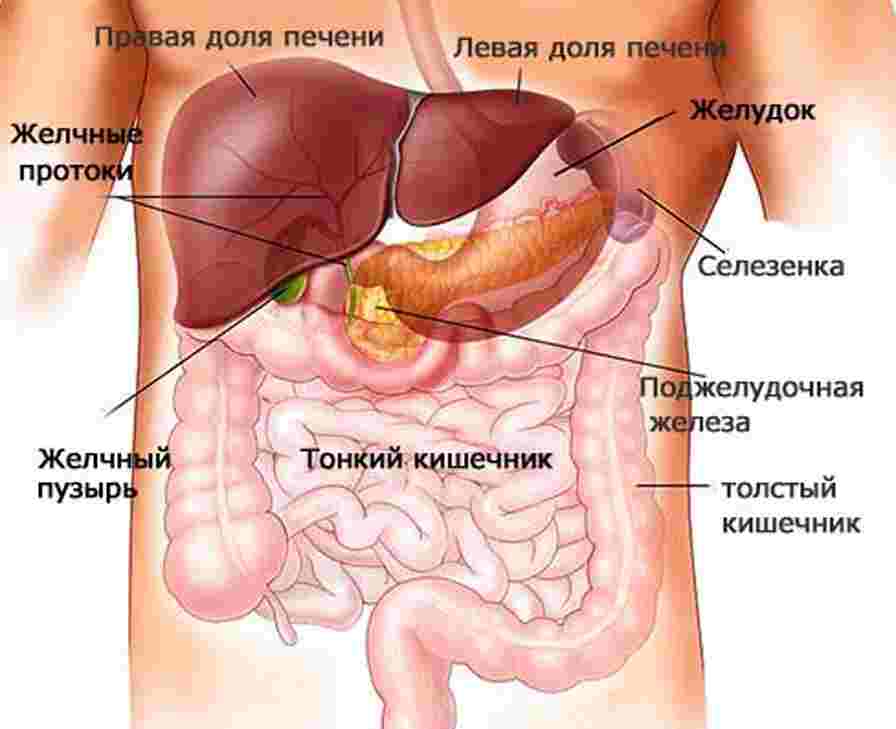 болит поджелудочная железа симптомы и лечение