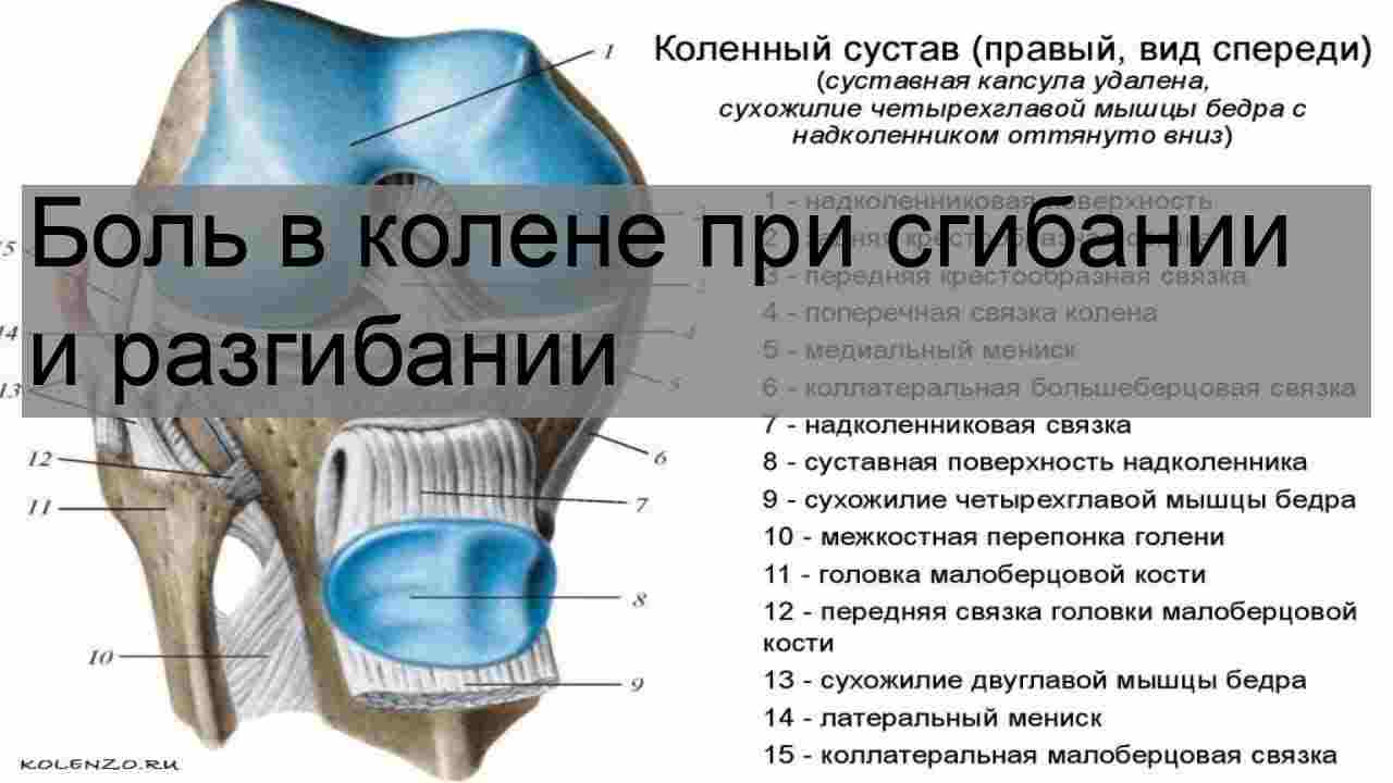 боль в колене при сгибании и разгибании