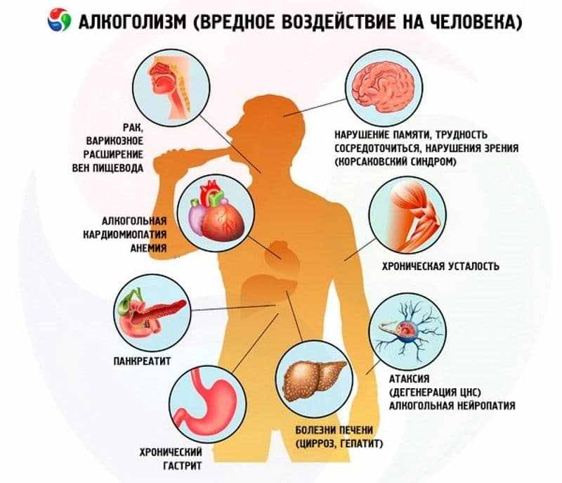 вред алкоголя на организм человека