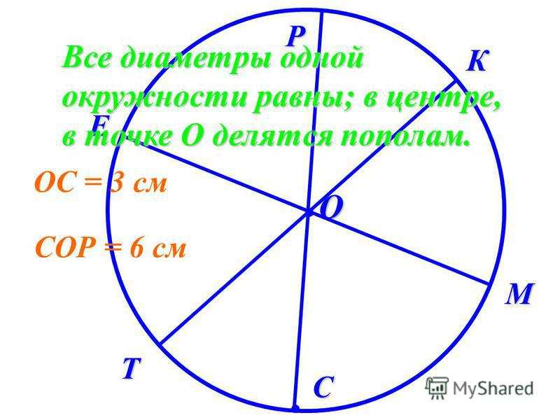 все диаметры окружности равны между собой