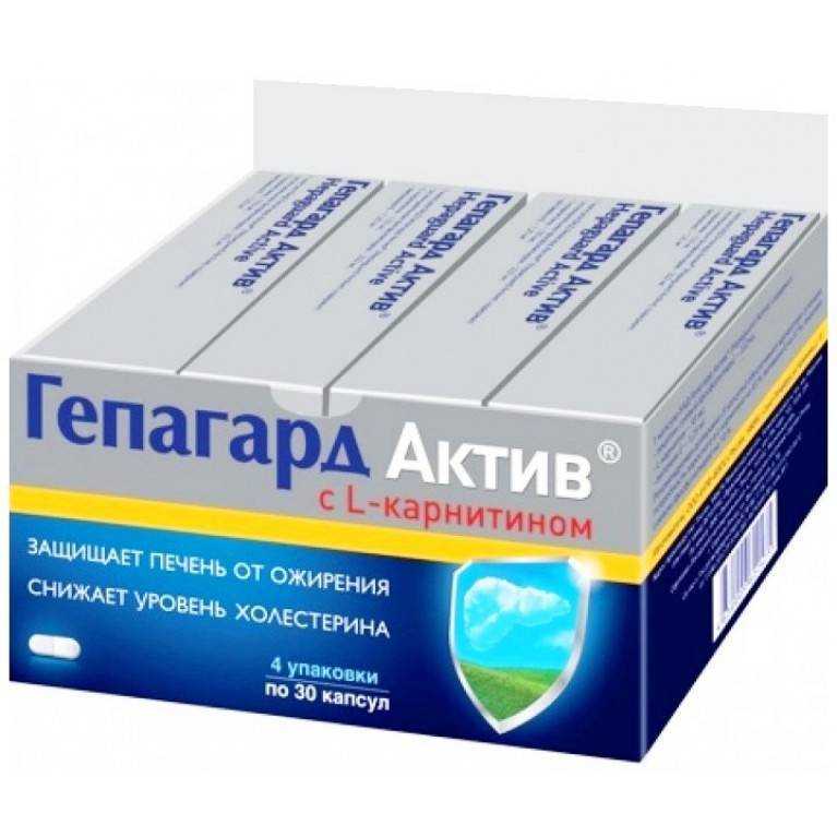 гепагард актив инструкция по применению цена отзывы