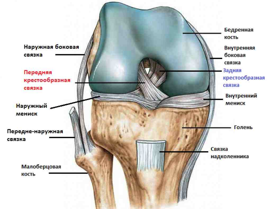 доа коленного сустава что это