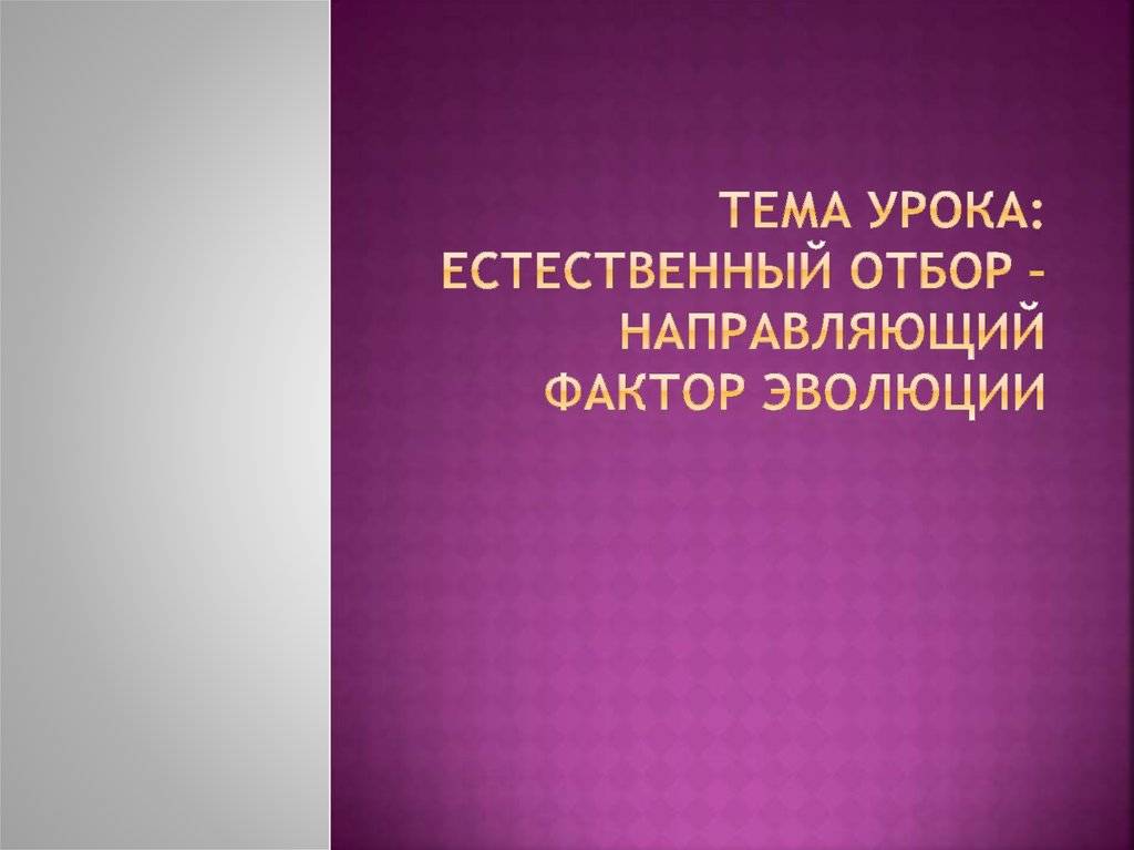 естественный отбор направляющий фактор эволюции