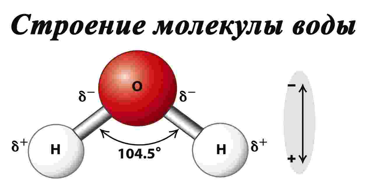 из чего состоит молекула воды