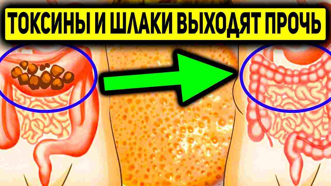 как понять что кишечник очистился после фортранса