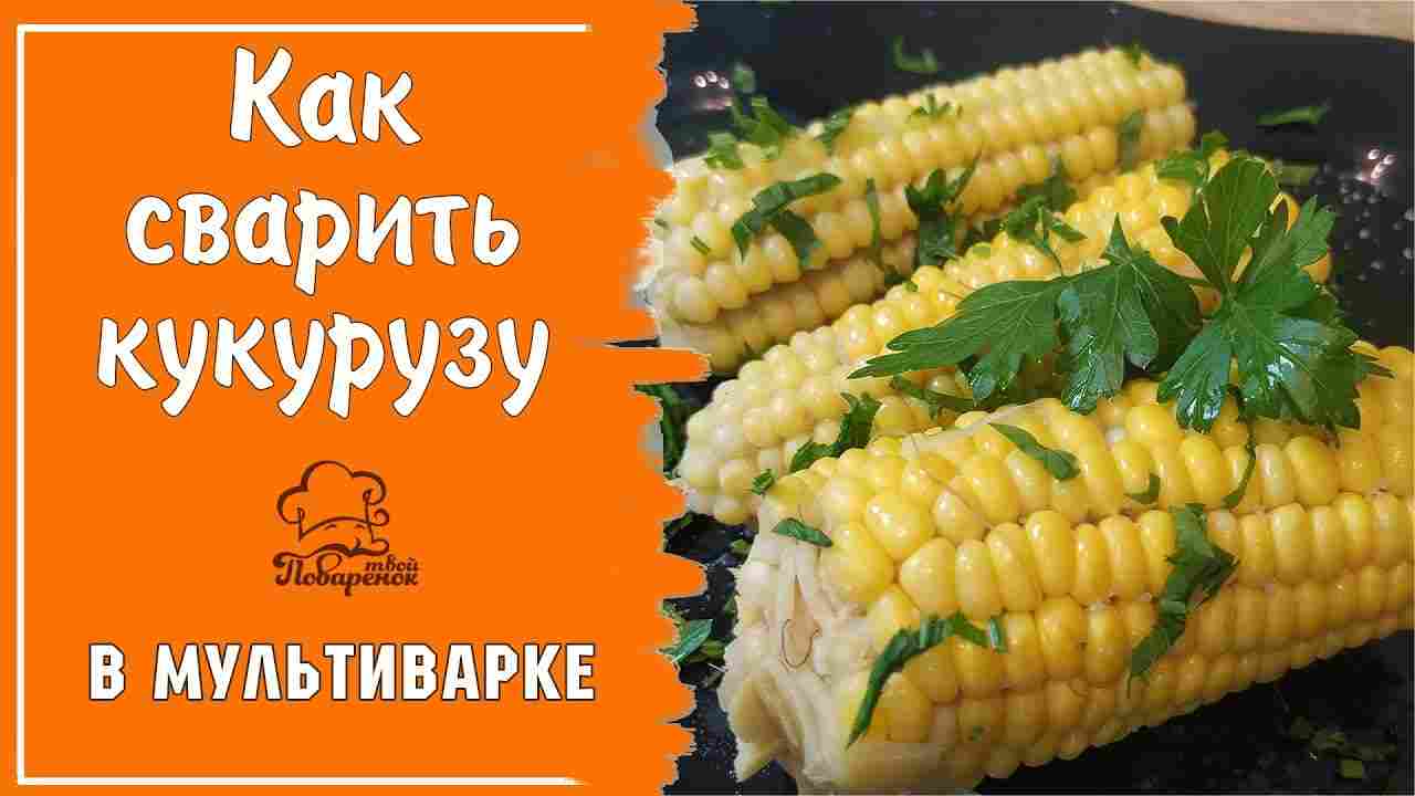 как правильно сварить кукурузу в початках