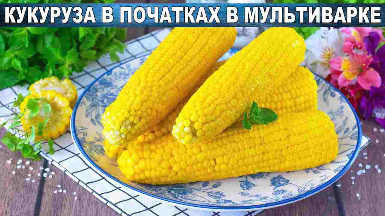 как приготовить кукурузу в початках