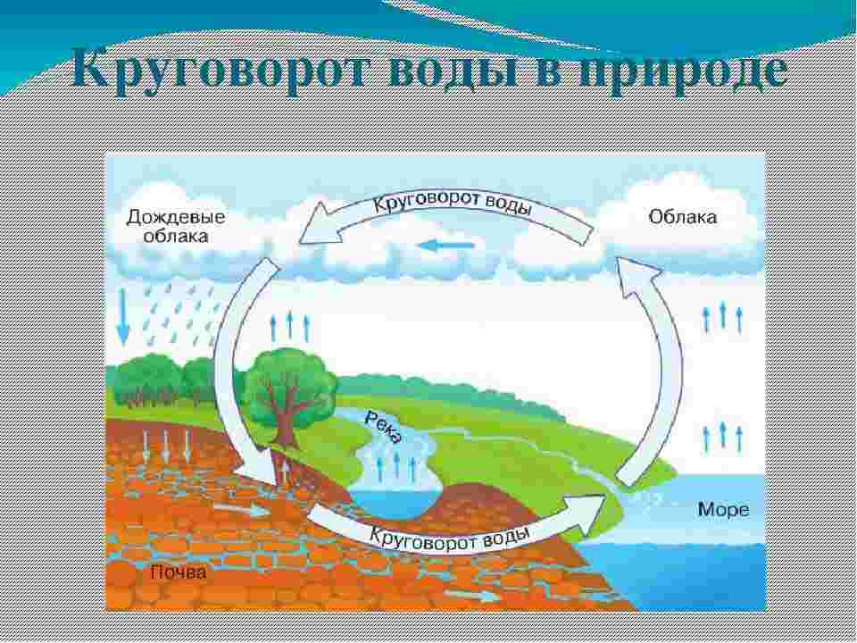 как происходит круговорот воды в природе