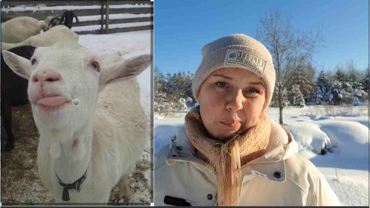 как я дошла до жизни такой