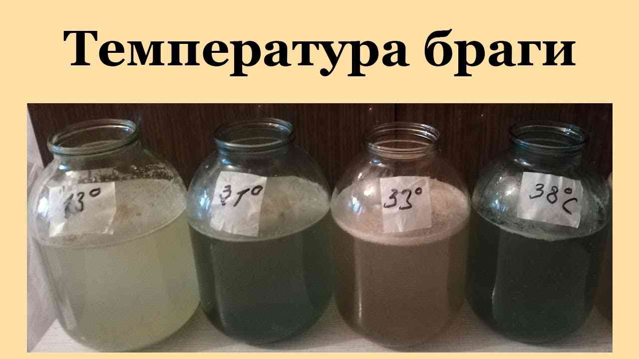 какая должна быть температура браги