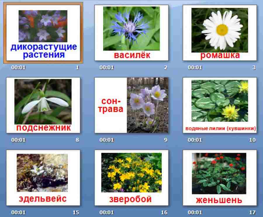 какие вещества находятся в растении