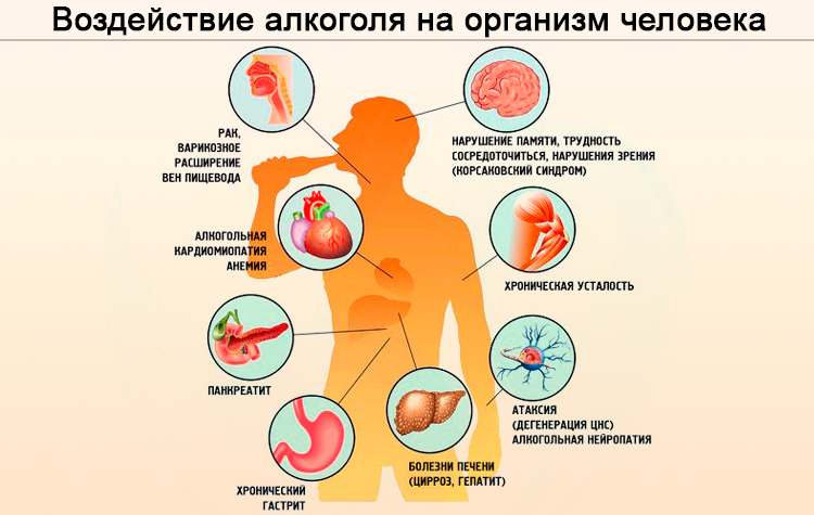 каков механизм воздействия алкоголя на организм человека