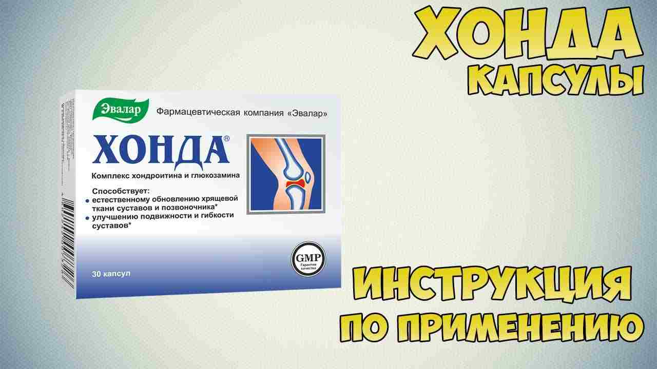 капсулы хондроксил инструкция по применению цена