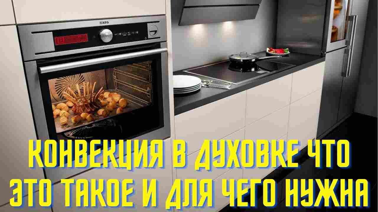 конвекция в духовке что это такое