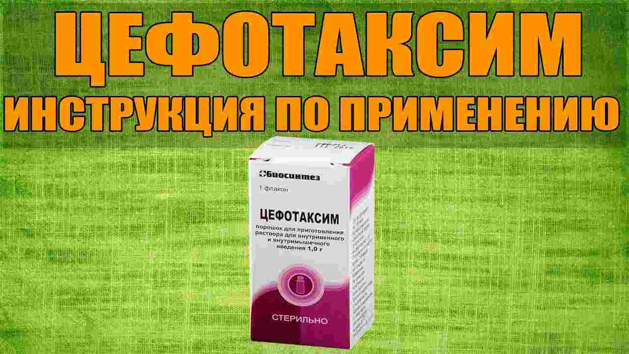 ксефомилин таблетки инструкция по применению