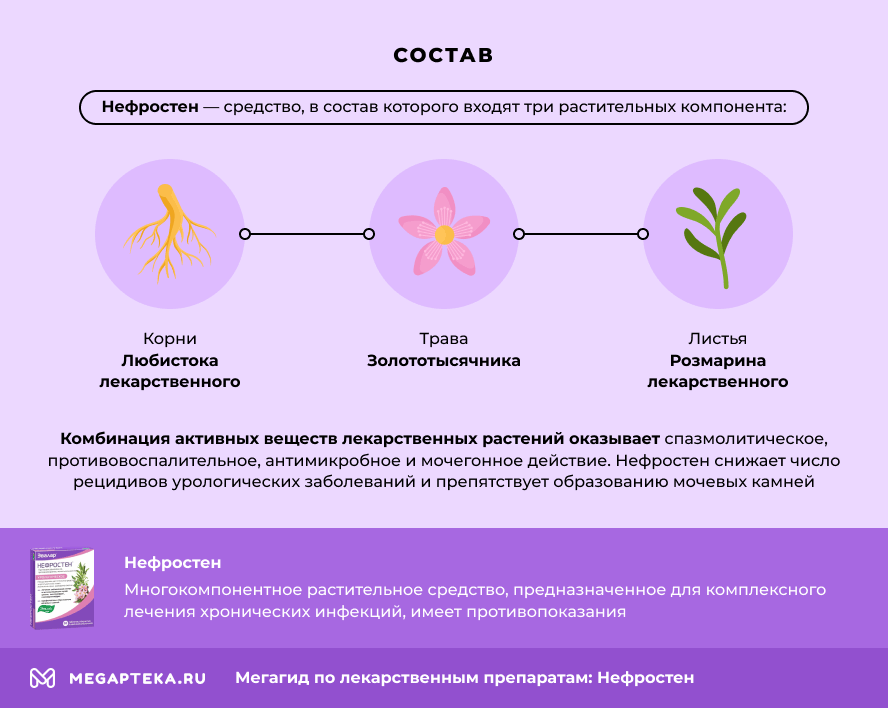 нефростен инструкция по применению цена